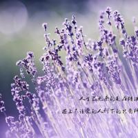 优美抒情散文 雨巷