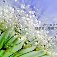 可是棺木之木字头，下头绝子绝孙之子字耶