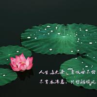 散文诗之茶香随风