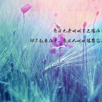 只为你洒下滴滴墨香