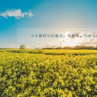 秋雨,在迷乱的思绪中飞扬