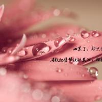 乞丐也需要努力