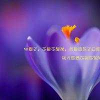 猎鹰是怎么样熬成的？就是这样熬成的