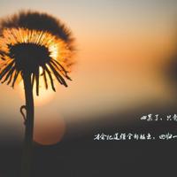 今日有雨，我独自喝酒