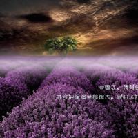 轻轻柔柔蒲扇风散文