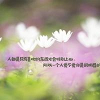 大漠情,几度梦里飞花
