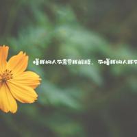 看不见得雾霾散不尽的迷都