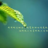 最舒服的爱情时间