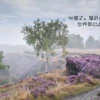 女人口述:出轨情人让我满足