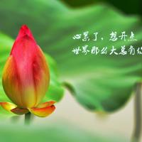 婚姻路上的红绿灯