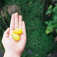 简静岁月 恬淡安好