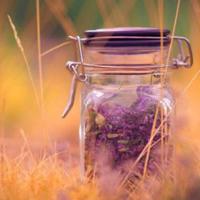 如此，只如此散文