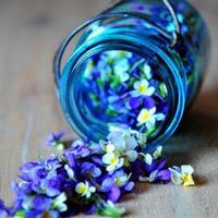 校园异事录之醉生梦死