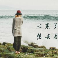 这些动物们还真是搞笑