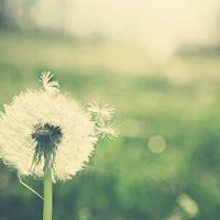 我爱你痛就痛在这里