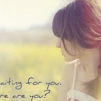 北城以北，思念不归