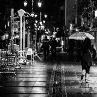 灯火阑珊，蓦然不见