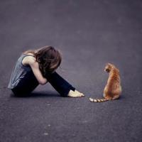 若不是心宽似海，哪来的风平浪静