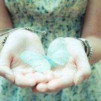 宠物店之黑猫--下