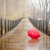 励志人生：你是生活中最受欢迎的男人吗？