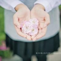 那一缕炊烟散文