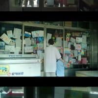 唯美心情物语绿色意境图片_遗失的美好