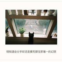 生命中，有风，有雨，但别忘了也会有阳光。