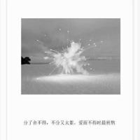 爱心树唯美意境图片_浪漫唯美的爱心树