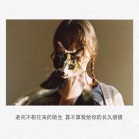 执手,瘦尽岁月喧嚣幻灭