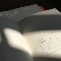 秋夜依窗听蝉鸣