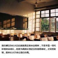 深刻爱情文字美图_用情至深难以改变