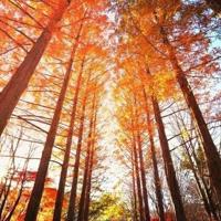 别错过那个你要挽留的人