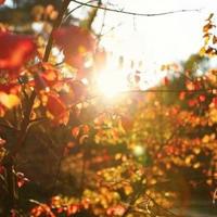 恼先生与吵先生