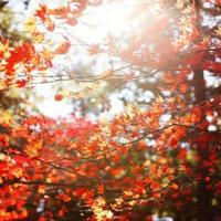 忽冷忽热总是情