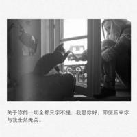 你总要习惯一个人