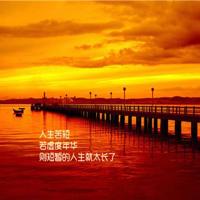 葬一季落花静守春天