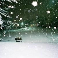 只要心诚，石头也会开出花来