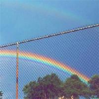 麻风病人的爱情