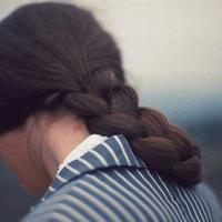 莺飞雪舞又一春