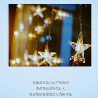 枫林桥畔,夜色正浓