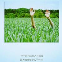 代表正义 拯救人间