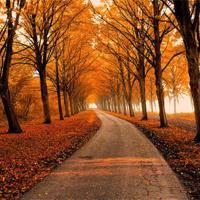 很多事情除非患了失忆症，否则根本没法忘记。