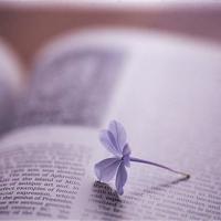 晚安心语正能量一句话