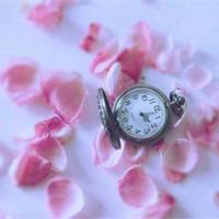 关于遇见的散文