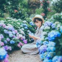 玉兰花开香我心