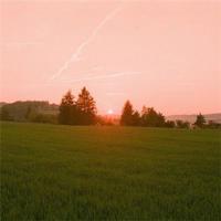 拒绝依赖,选择自立