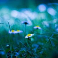 结婚多年,妻子仍是处女