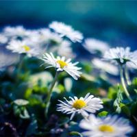 缘是握在手中的温馨和浪漫