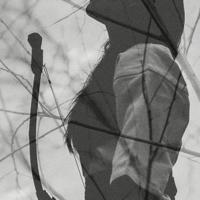 七律·雨后游沙澧