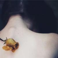 描写小动物的片段